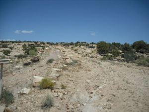 542611_10151249937265606_1161795915_n