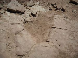 578991_10151249938010606_1927802110_n