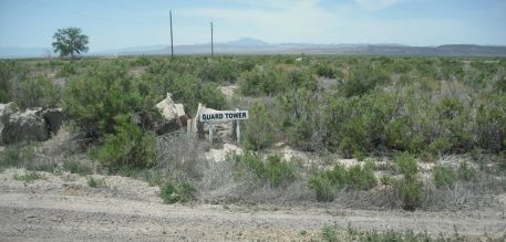 970040_10151608683755606_1531573783_n