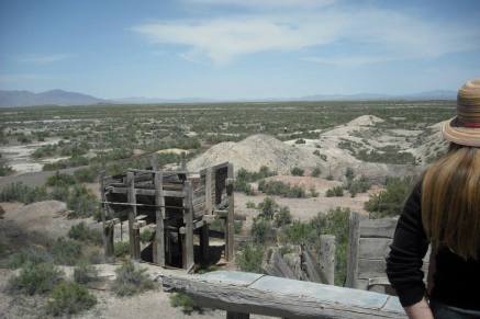 970397_10151608713355606_1338732267_n