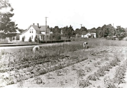 Price First year1211 Hill St. 1944