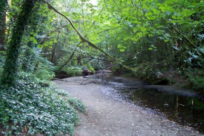 189045_10151205947455606_548099910_n