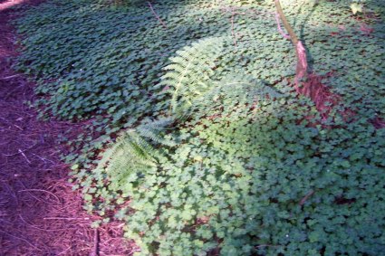 384838_10151205946500606_263297519_n