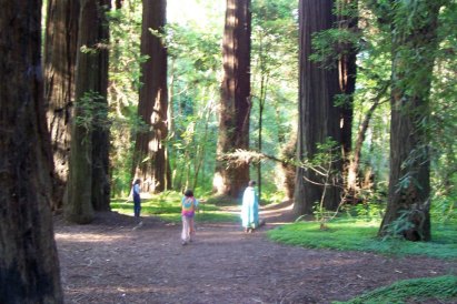 420816_10151205946300606_480823420_n